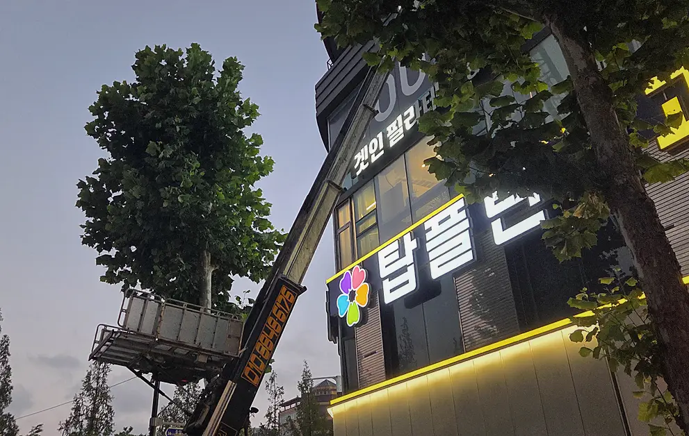 종로구 폐기물처리 기록 사진 4